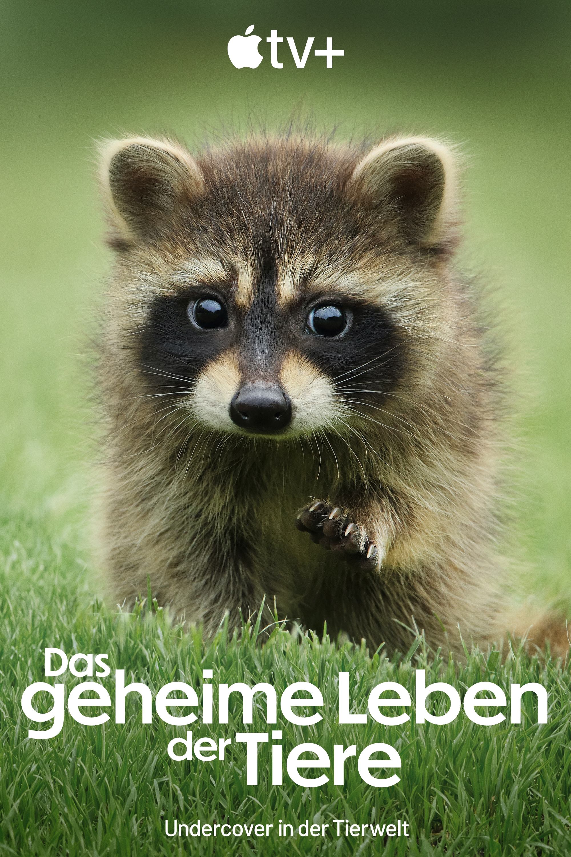 Das geheime Leben der Tiere