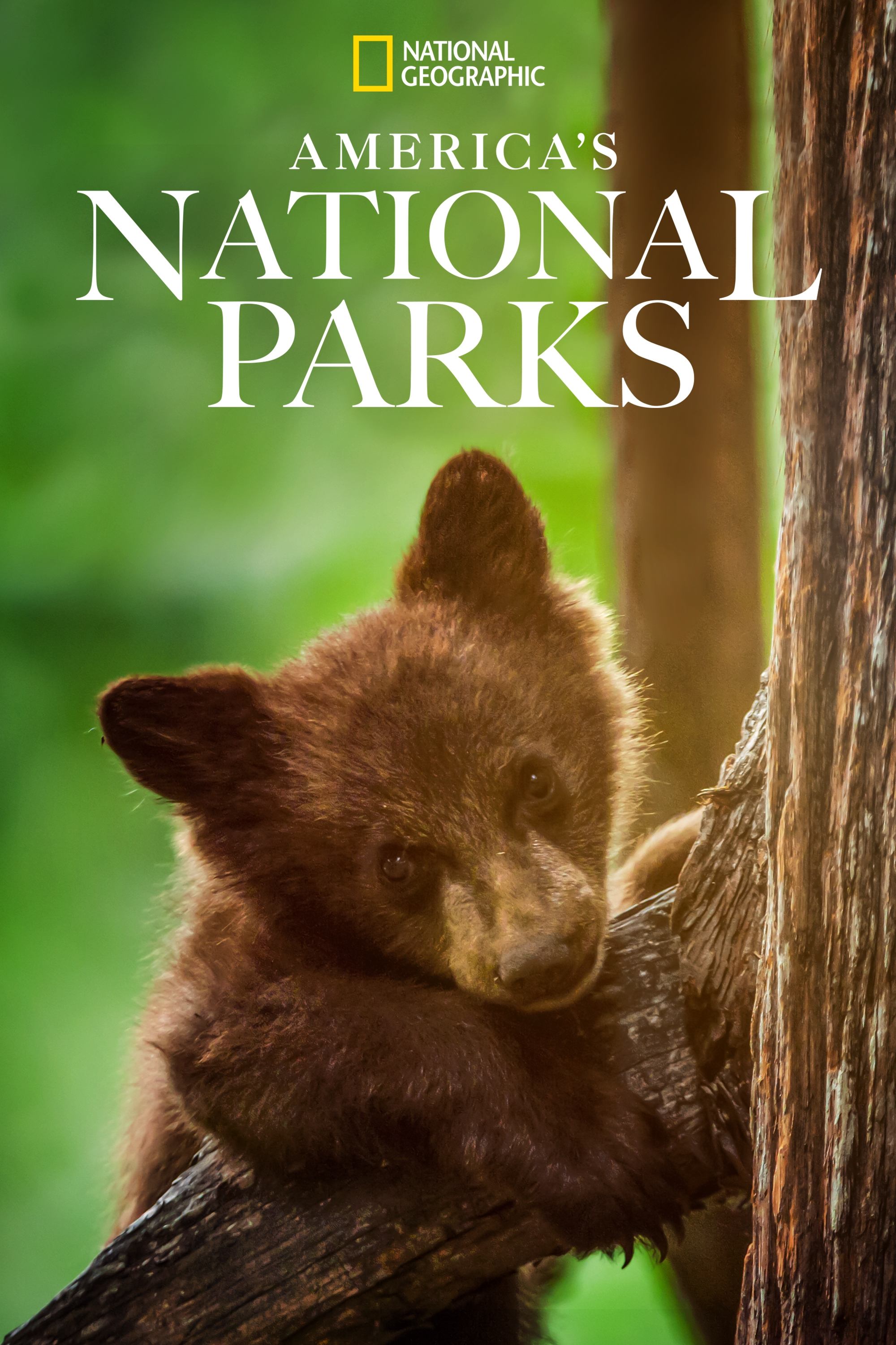 Amerikas Nationalparks