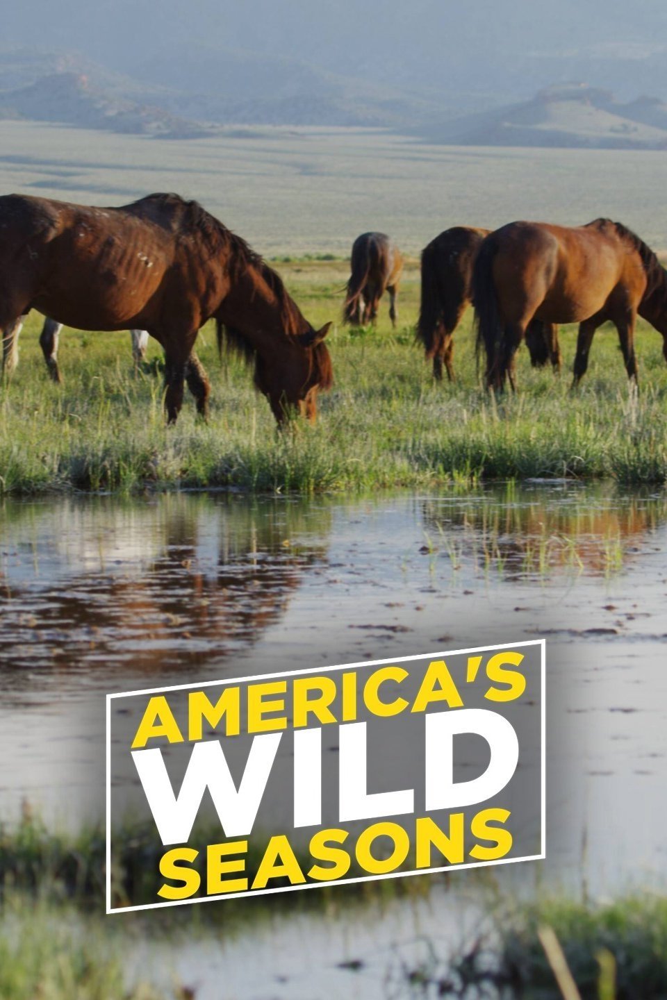 Die Wildnis der USA - Vier Jahreszeiten