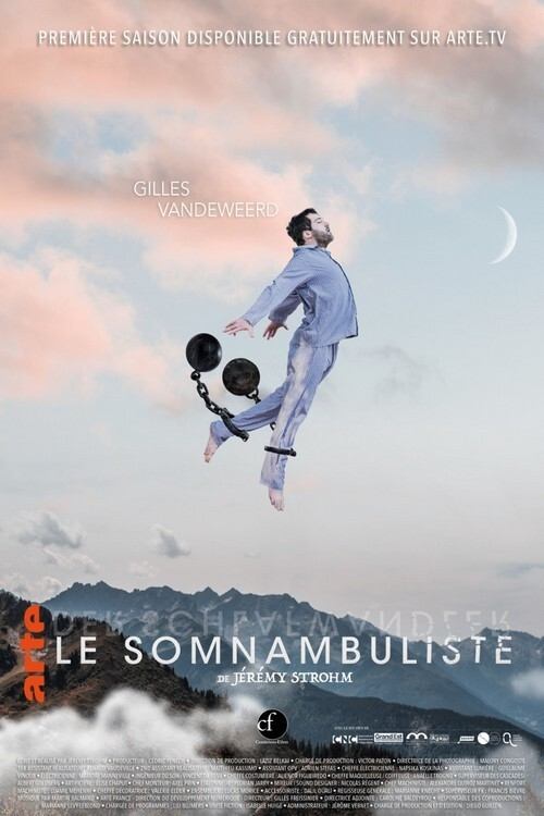 Der Schlafwandler