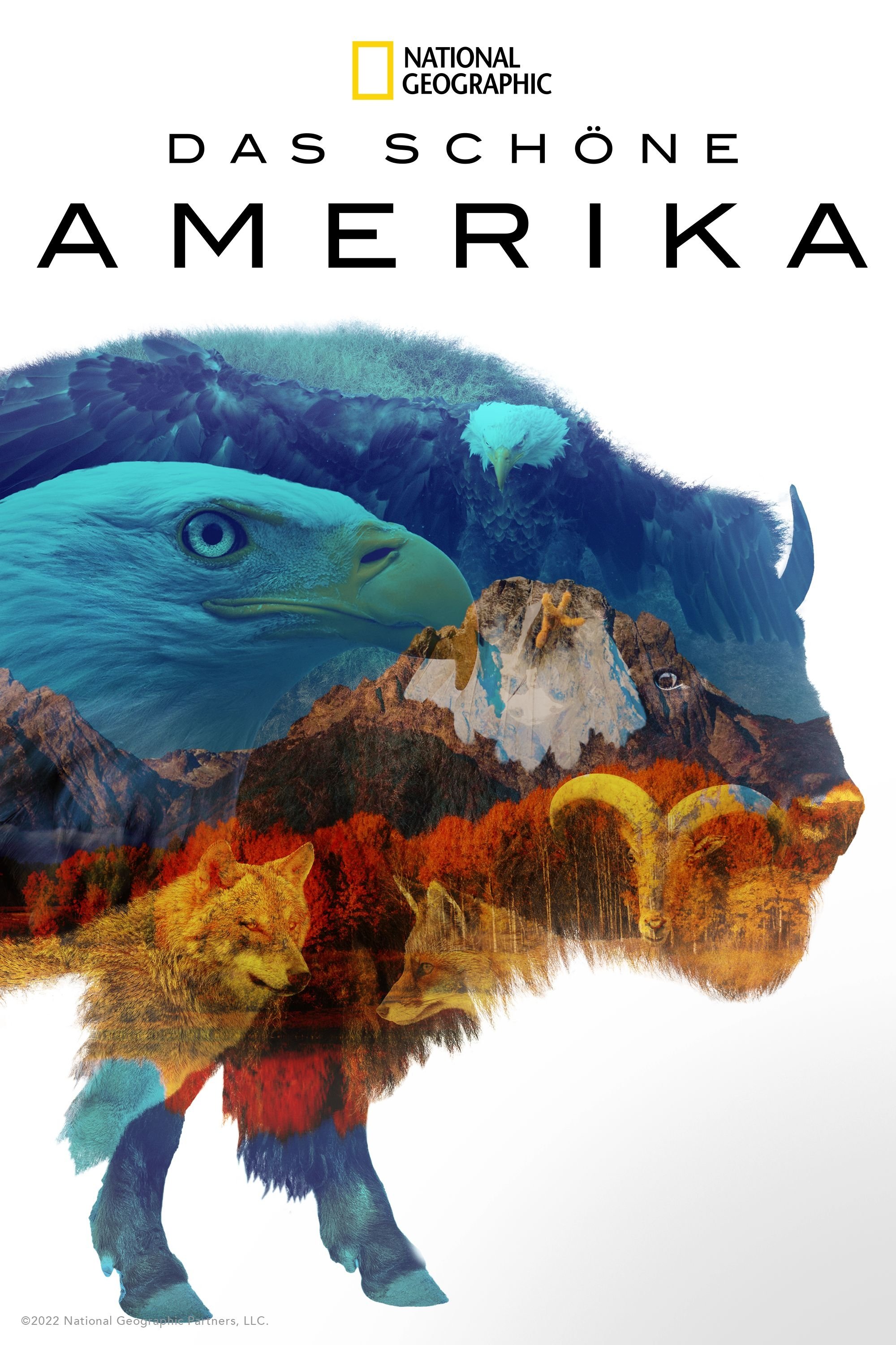 Das schöne Amerika