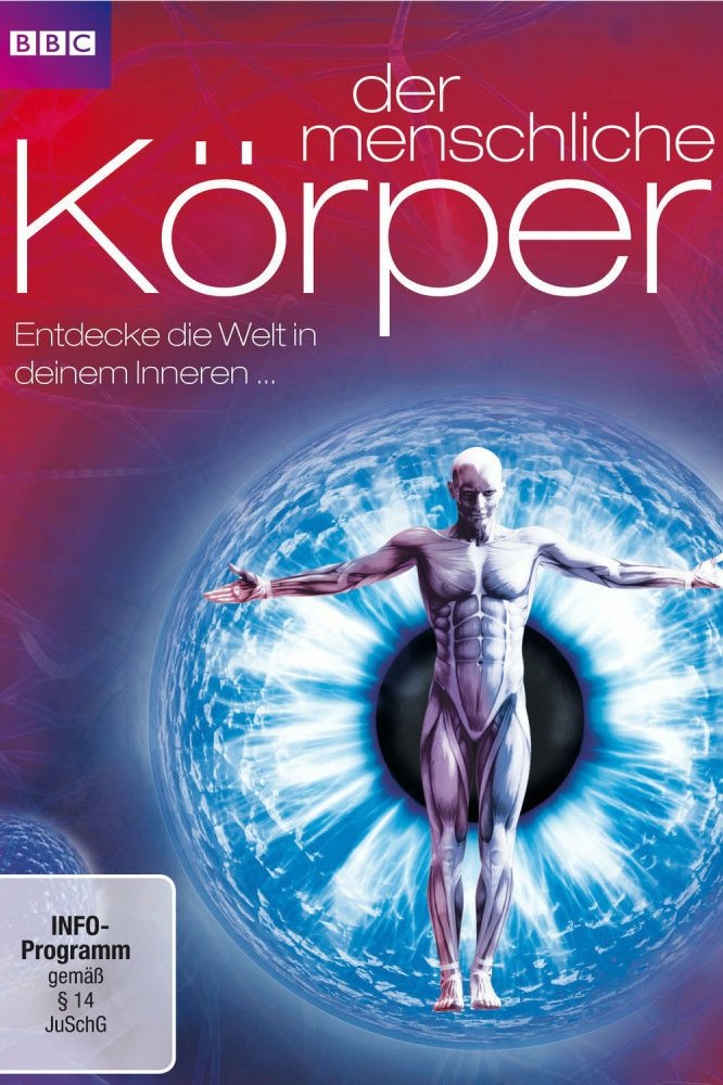 Der menschliche Körper - Entdecke die Welt in deinem Inneren