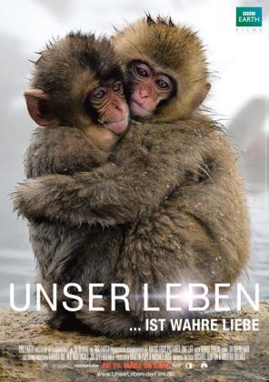 Filmbeschreibung zu Unser Leben