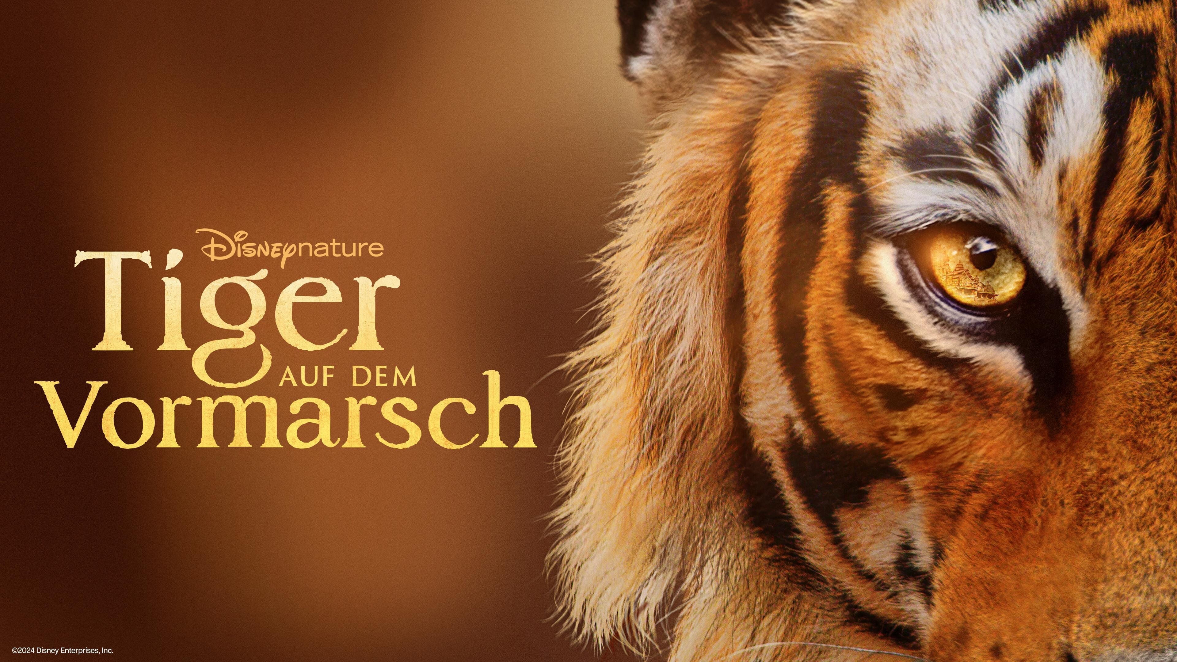 Tiger auf dem Vormarsch