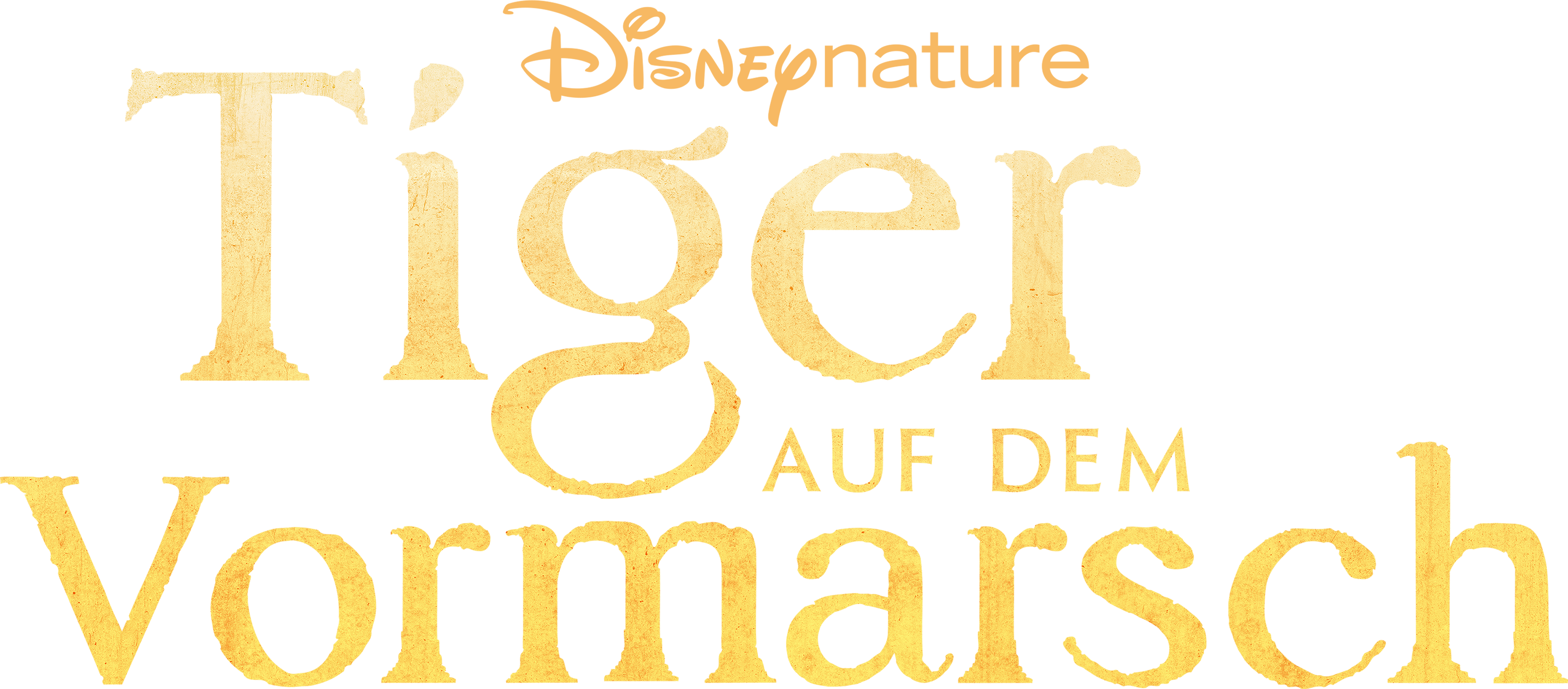 Tiger auf dem Vormarsch