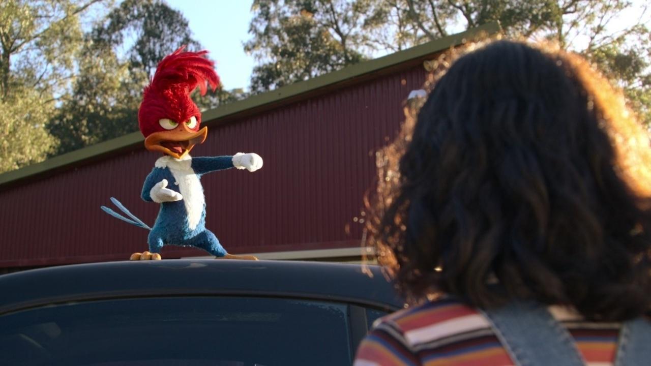 Woody Woodpecker geht ins Camp