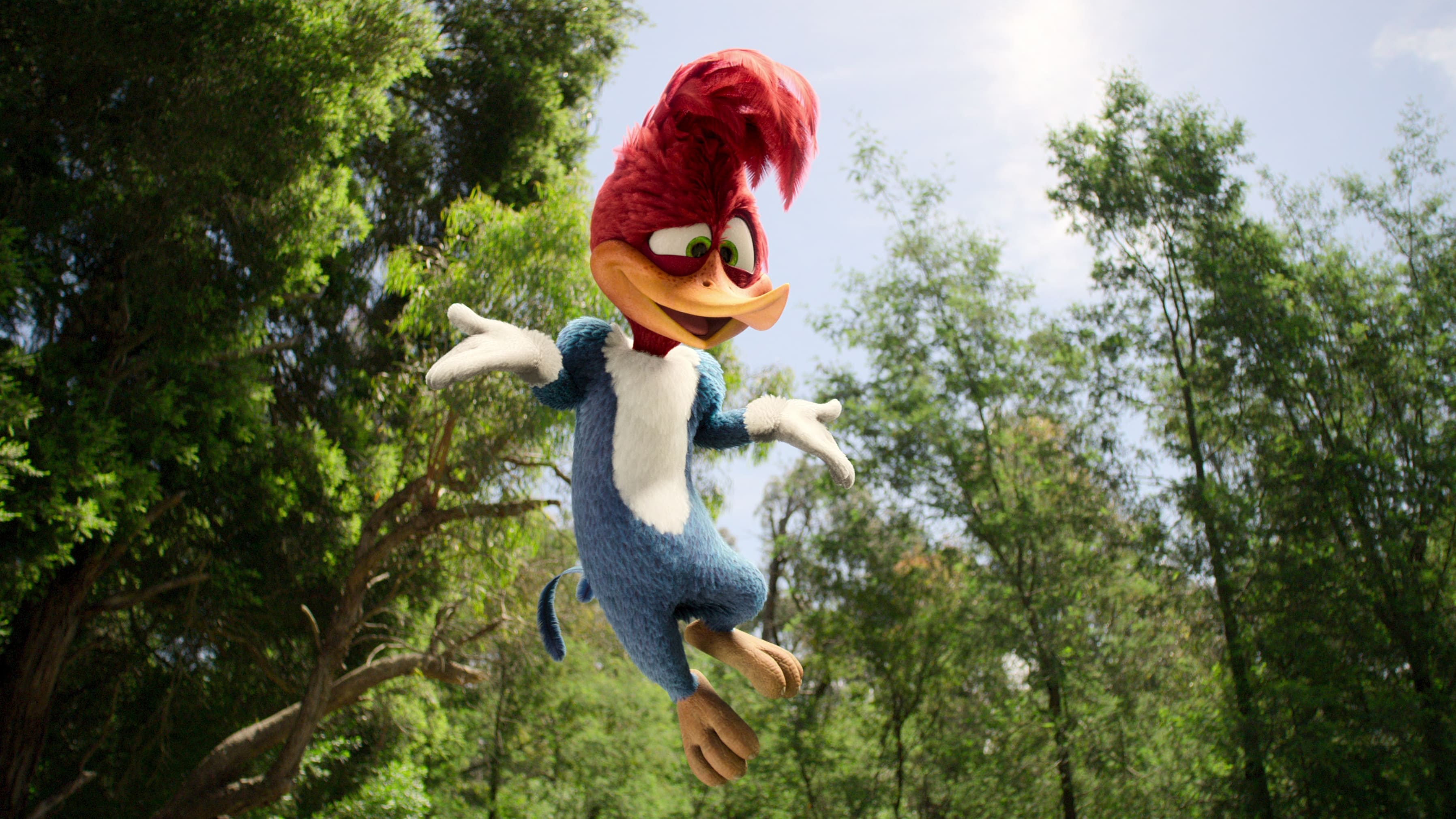 Woody Woodpecker geht ins Camp