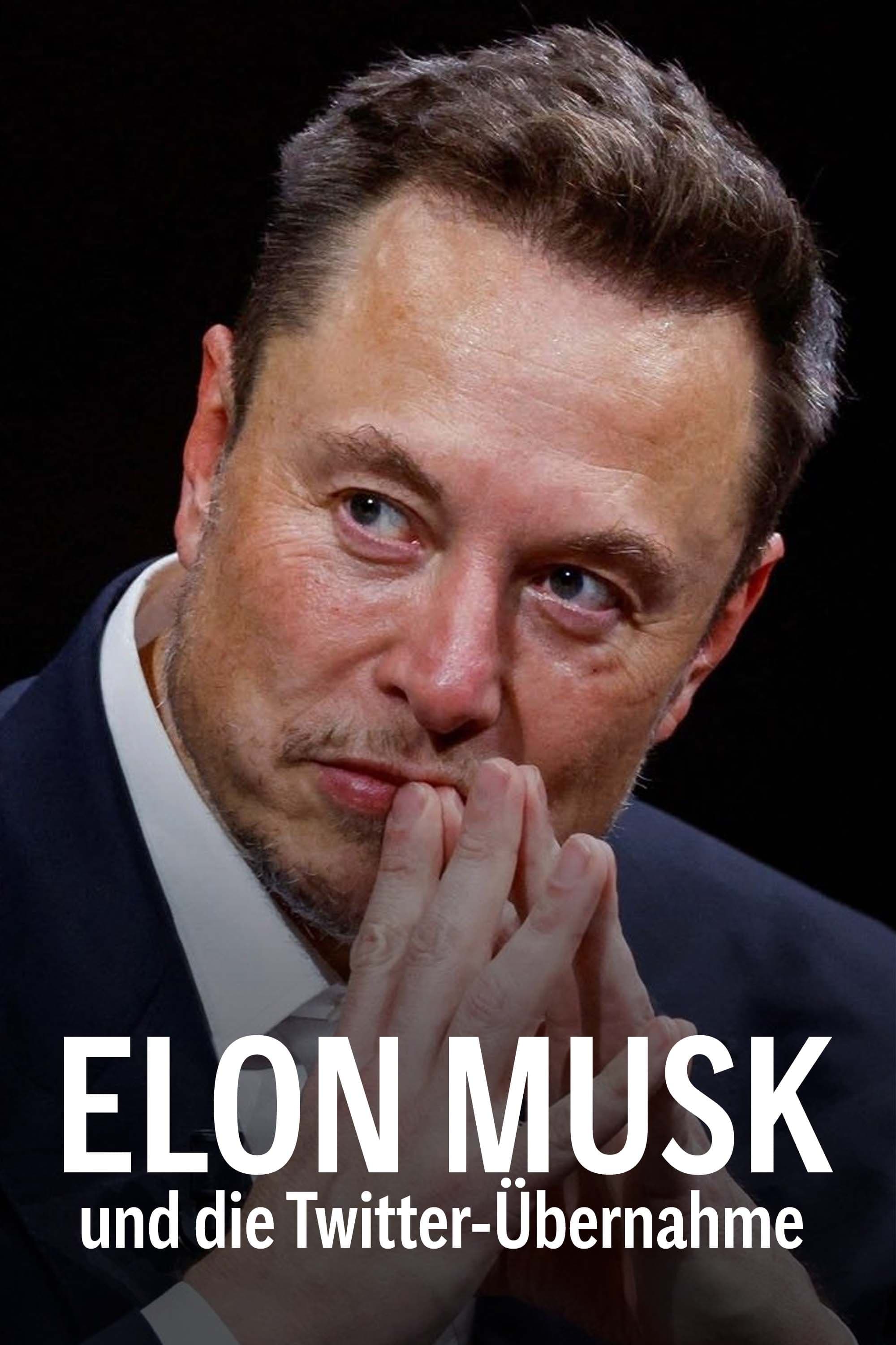 Elon Musk und die Twitter-Übernahme
