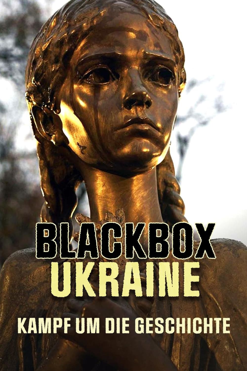 Blackbox Ukraine: Kampf um die Geschichte