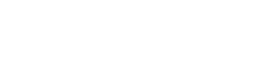 Das geheime Leben der Orang-Utans