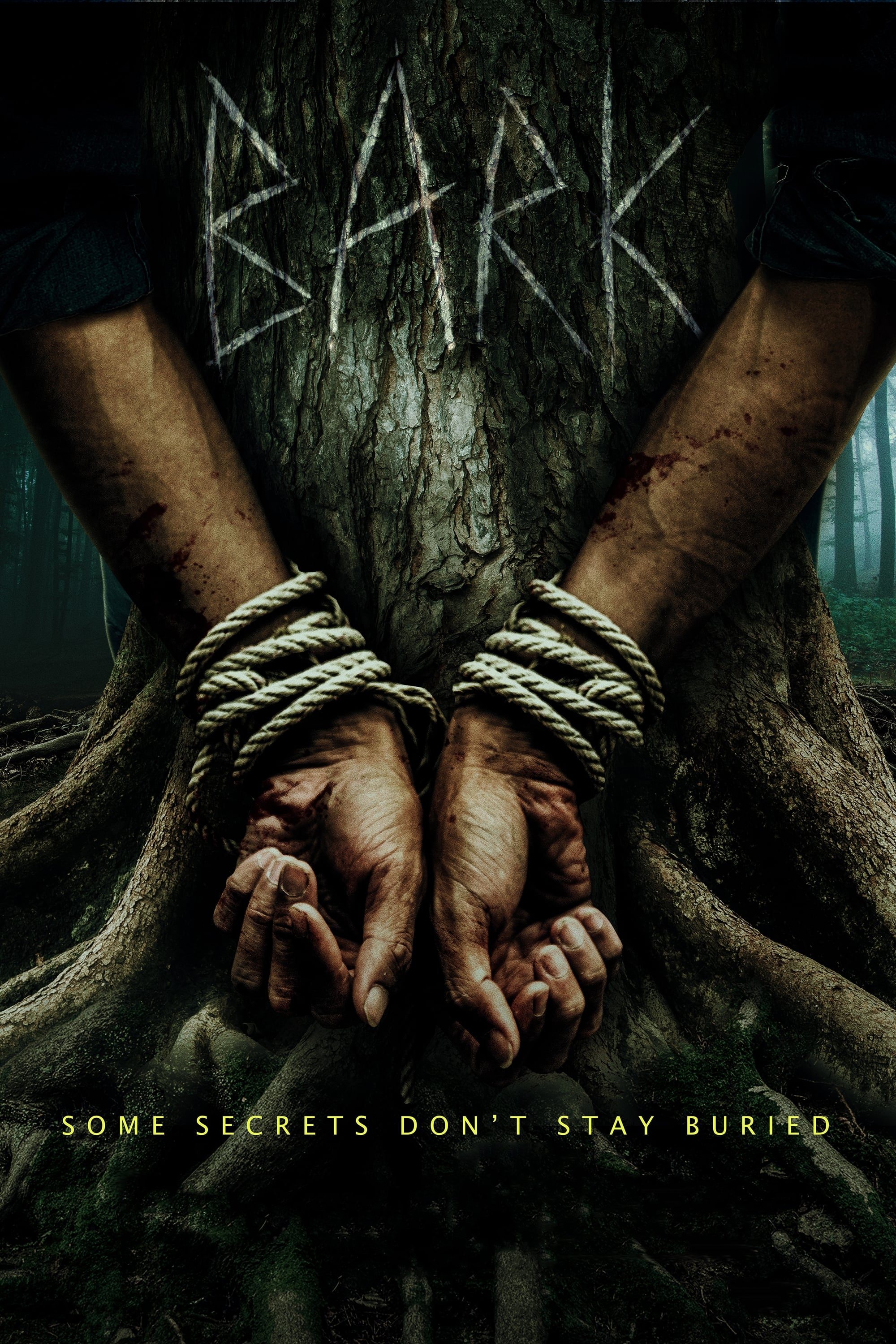 Bark - Nichts bleibt verborgen