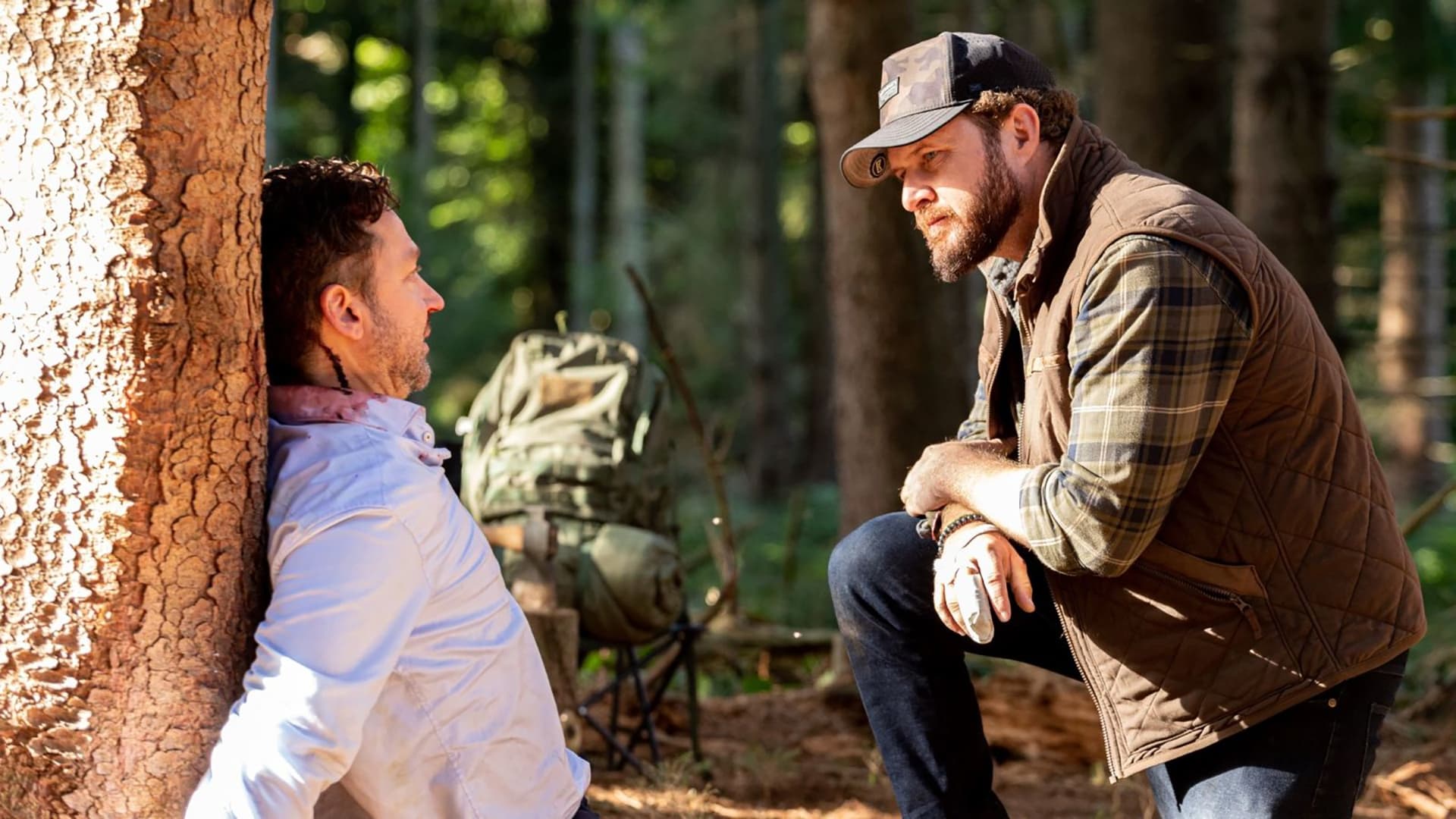 Bark - Nichts bleibt verborgen