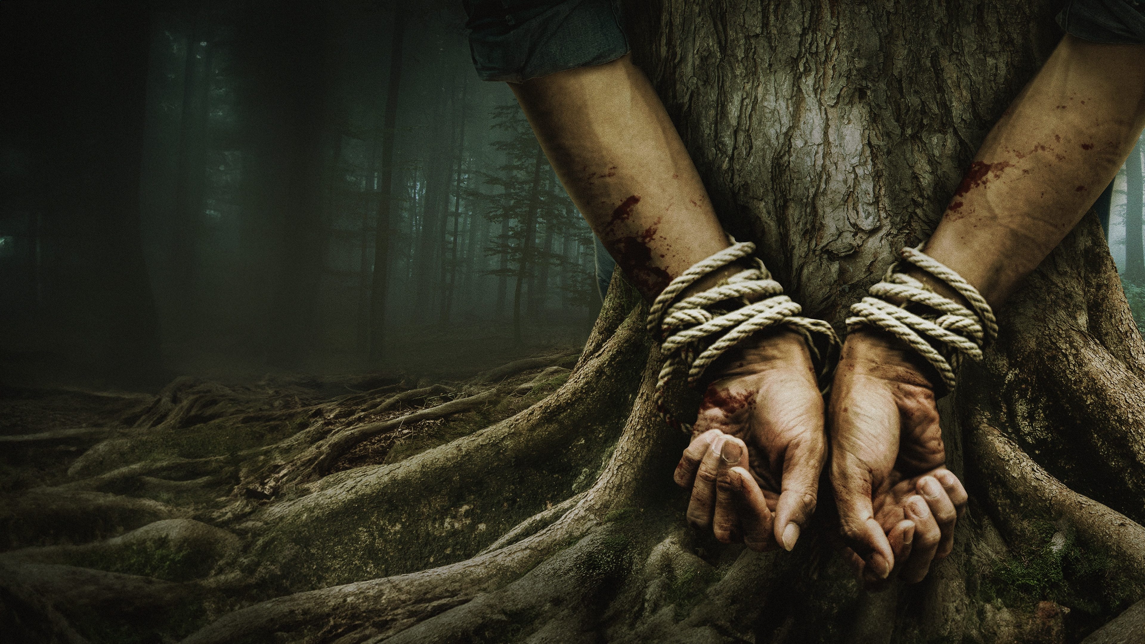 Bark - Nichts bleibt verborgen