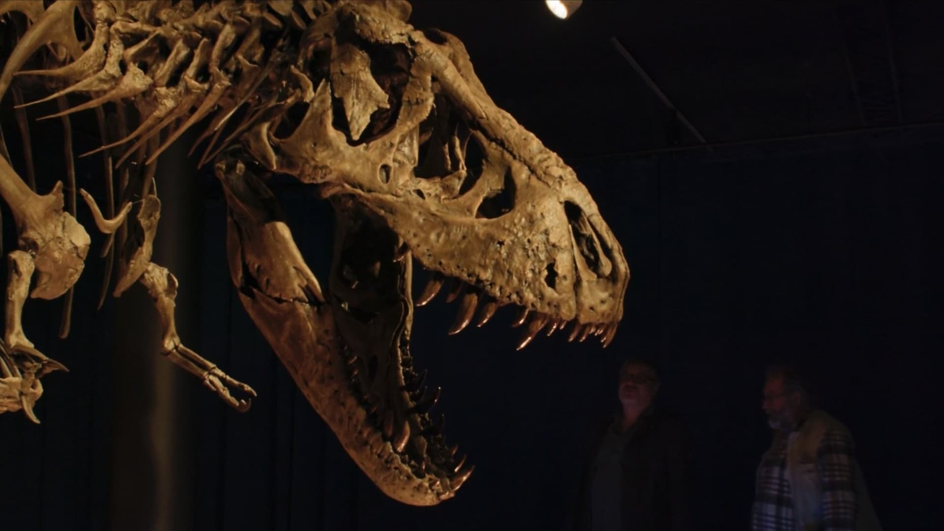 Bones: Auf der Jagd nach Dino-Fossilien