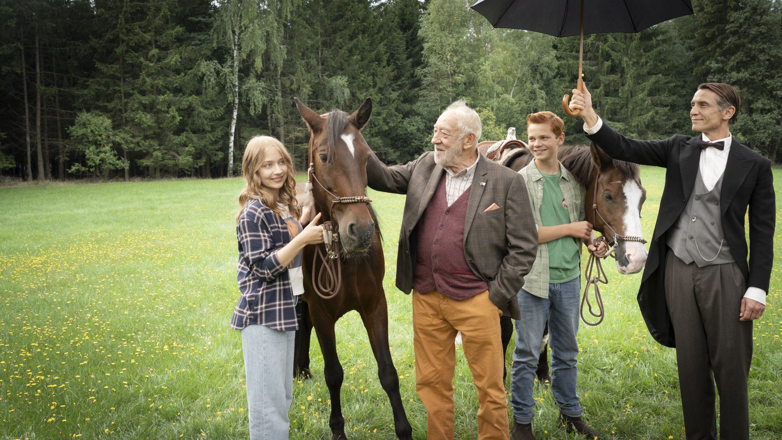Ponyherz