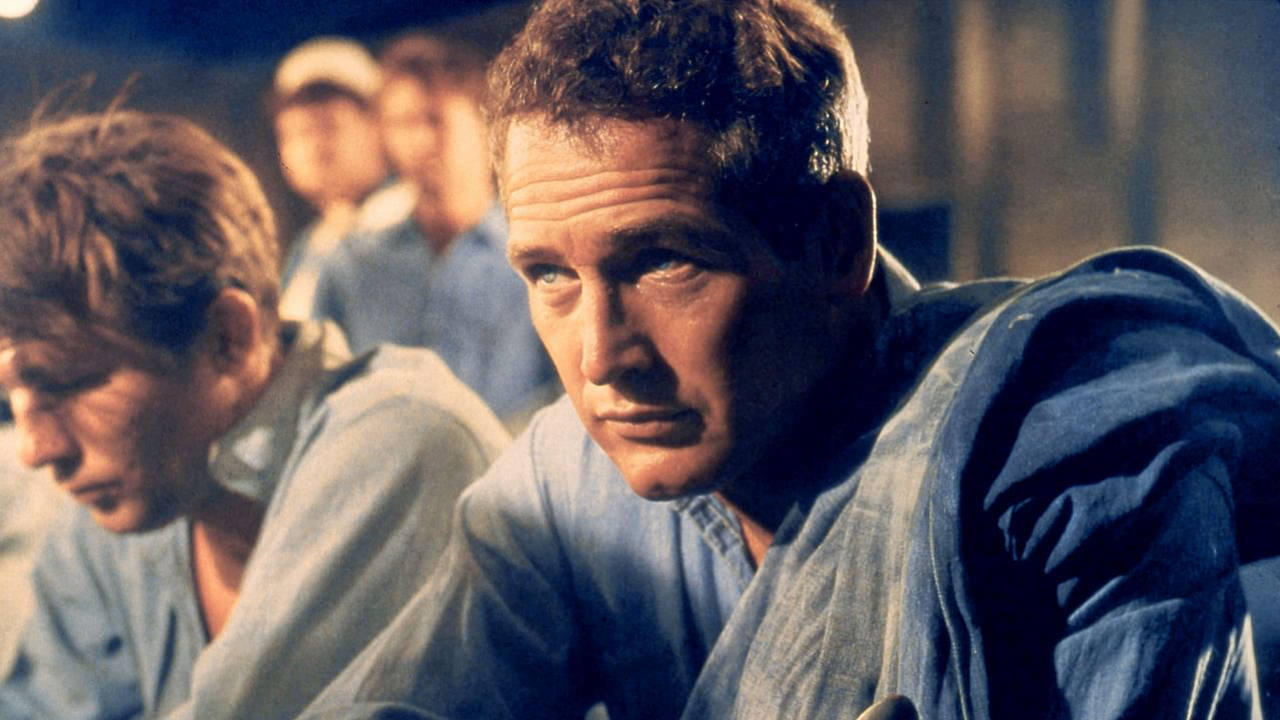 Paul Newman - Der unwiderstehliche Typ