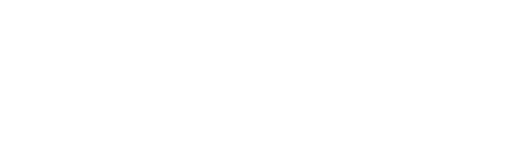 Die Unfehlbaren