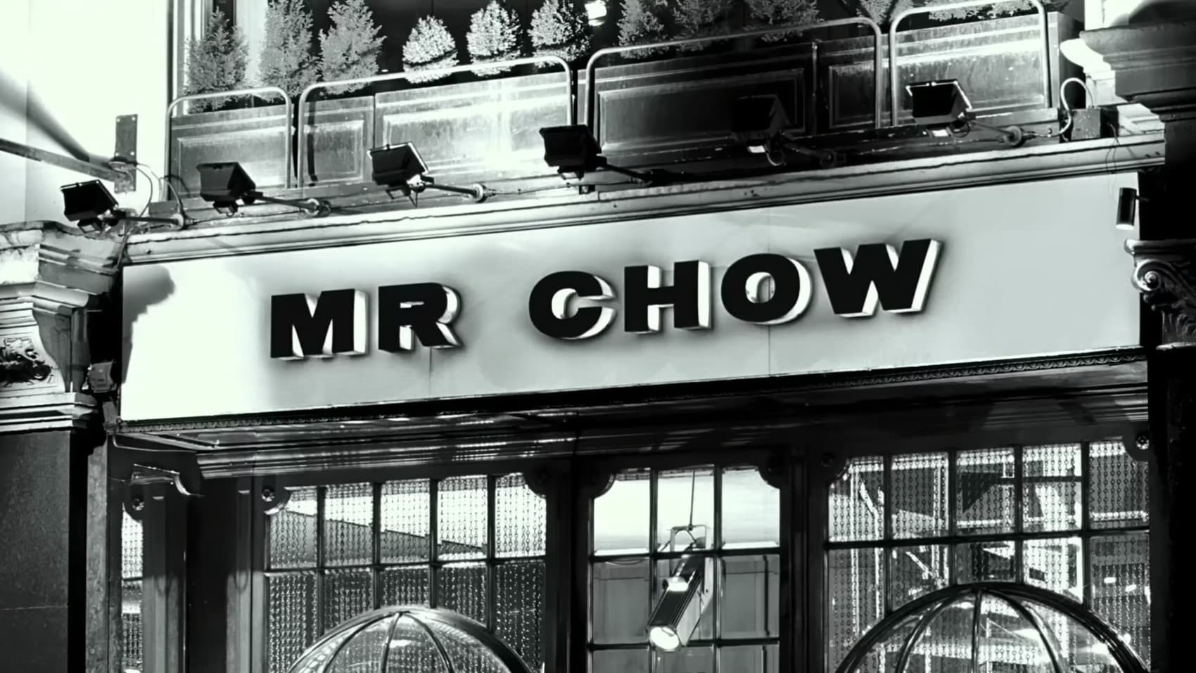 Die vielen Leben des Mr. Chow