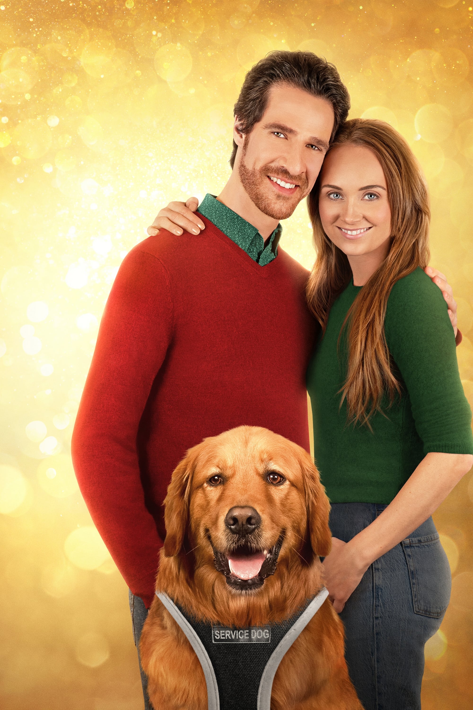 Max - Meine Weihnachtshilfe auf vier Pfoten