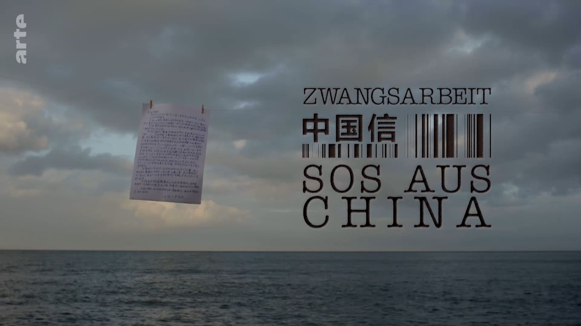 Zwangsarbeit - SOS aus China