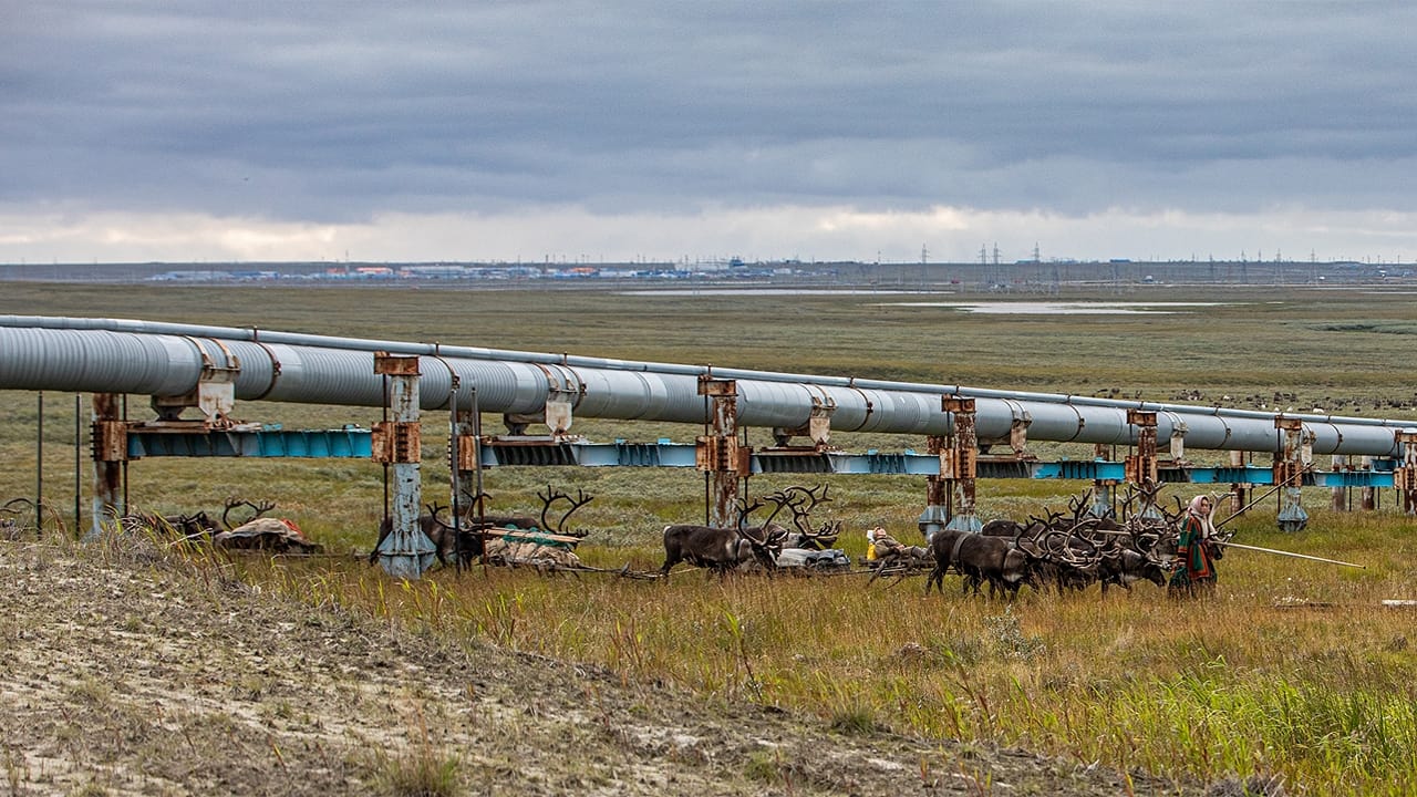 Sibirien: Eine Pipeline und die letzten Nomaden