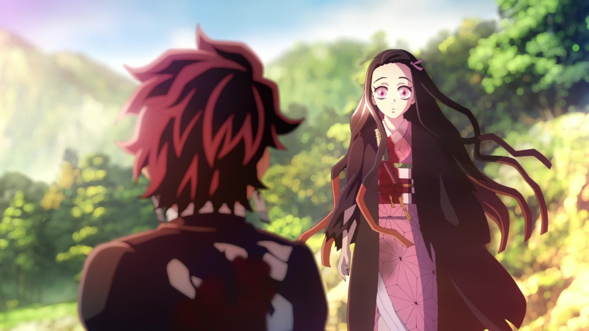 Demon Slayer: Kimetsu no Yaiba - Zum Training der Säulen
