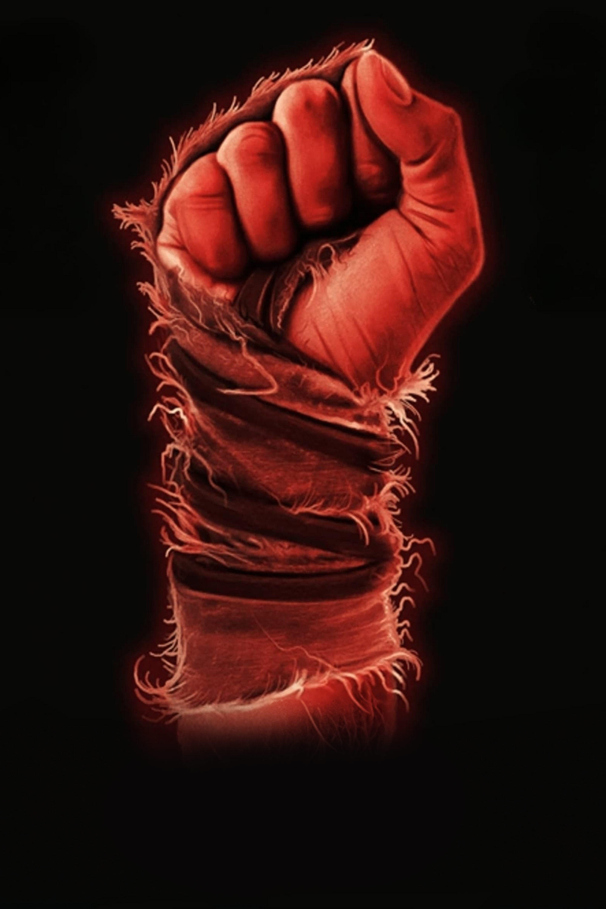 The Last Kumite