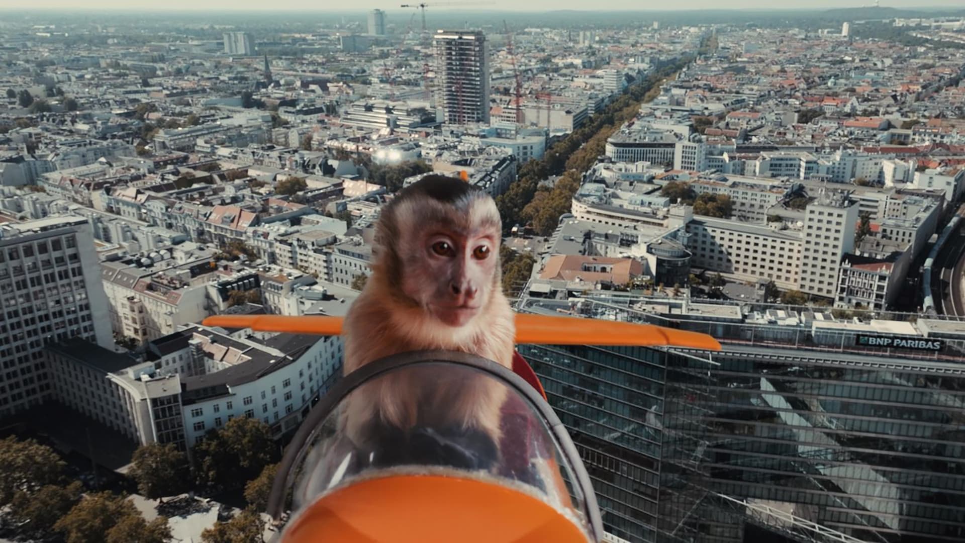 Akiko, der fliegende Affe