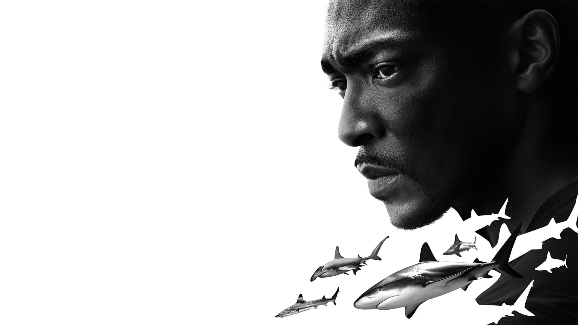 Der Strand der Haie mit Anthony Mackie: Golfküste