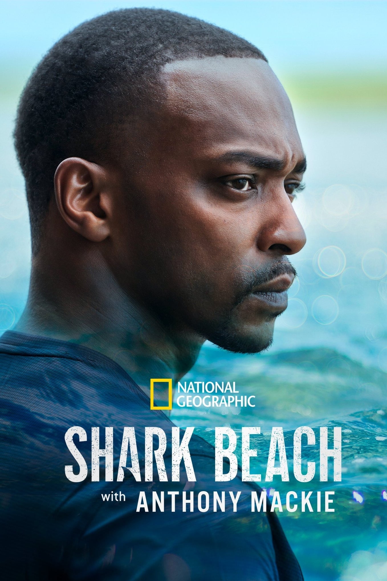 Der Strand der Haie mit Anthony Mackie: Golfküste