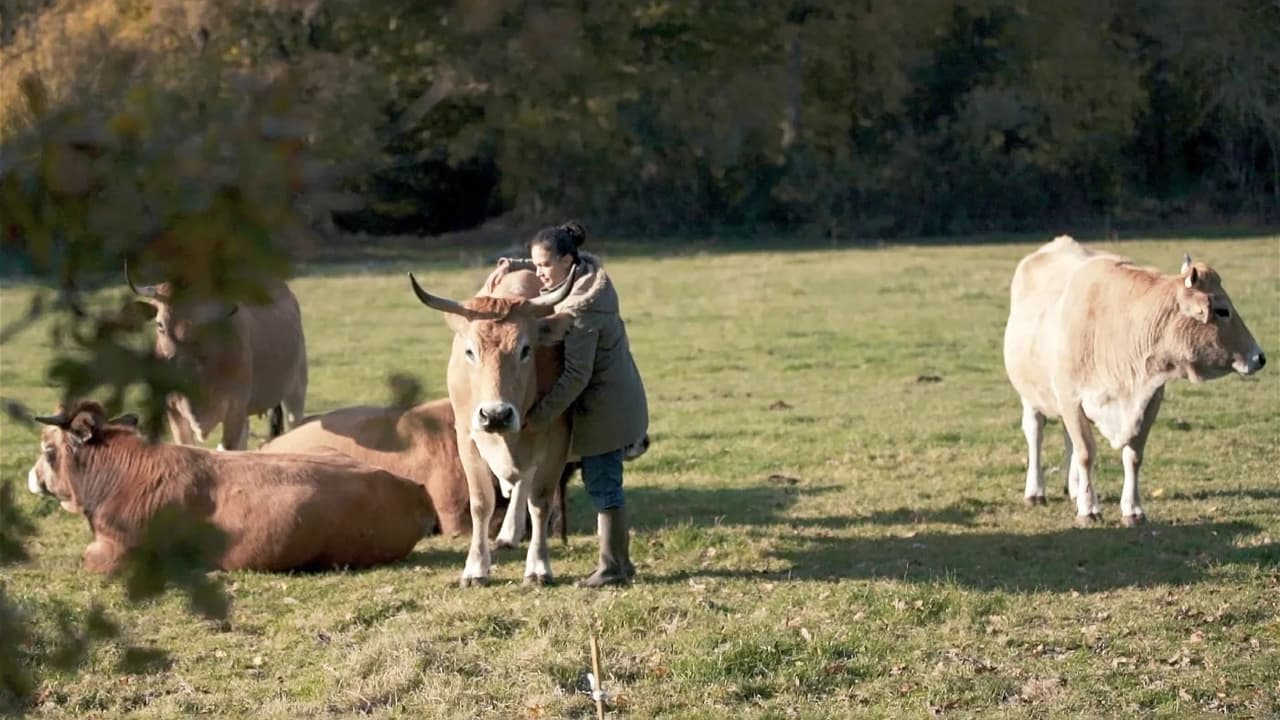 Tierleid vom Fließband