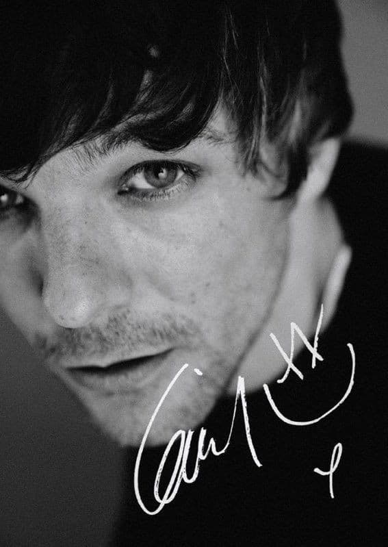 Louis Tomlinson: All of Those Voices