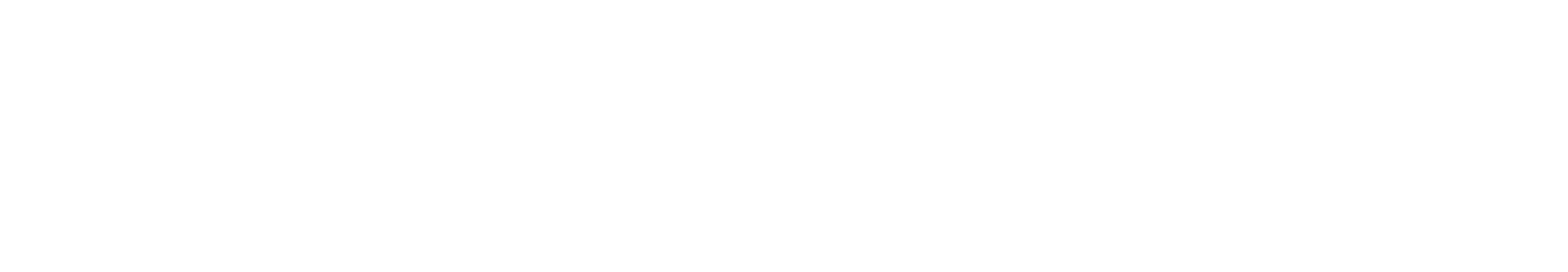 Der Seelenfänger
