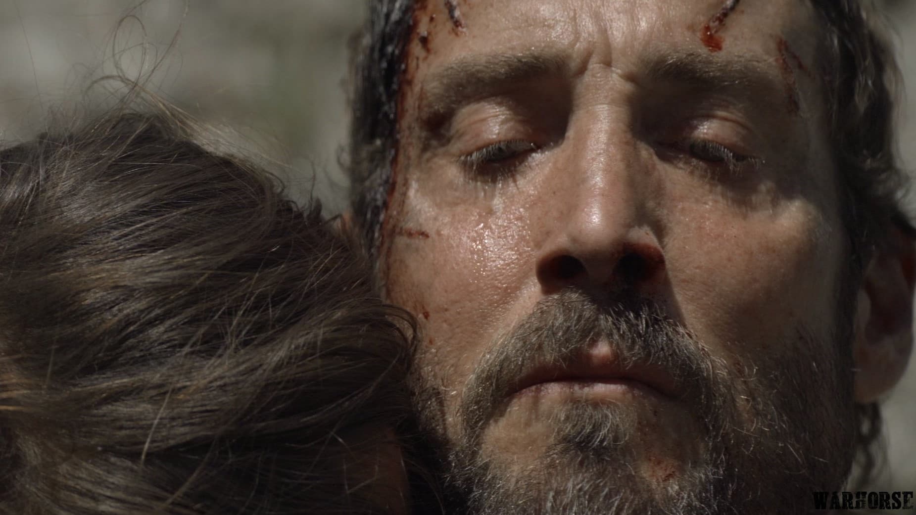 Warhorse - One Mission. One Moment. One Man