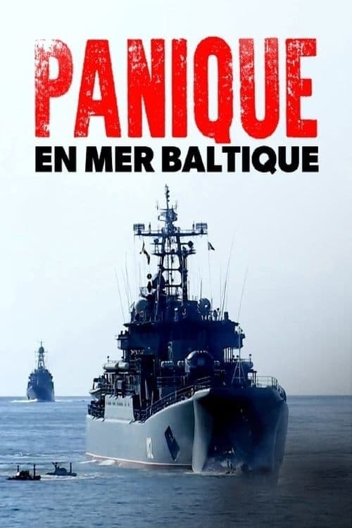 Panik vor Putin  - Russland, das Baltikum und die NATO