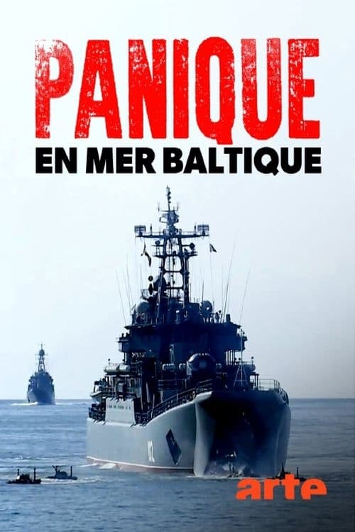 Panik vor Putin  - Russland, das Baltikum und die NATO