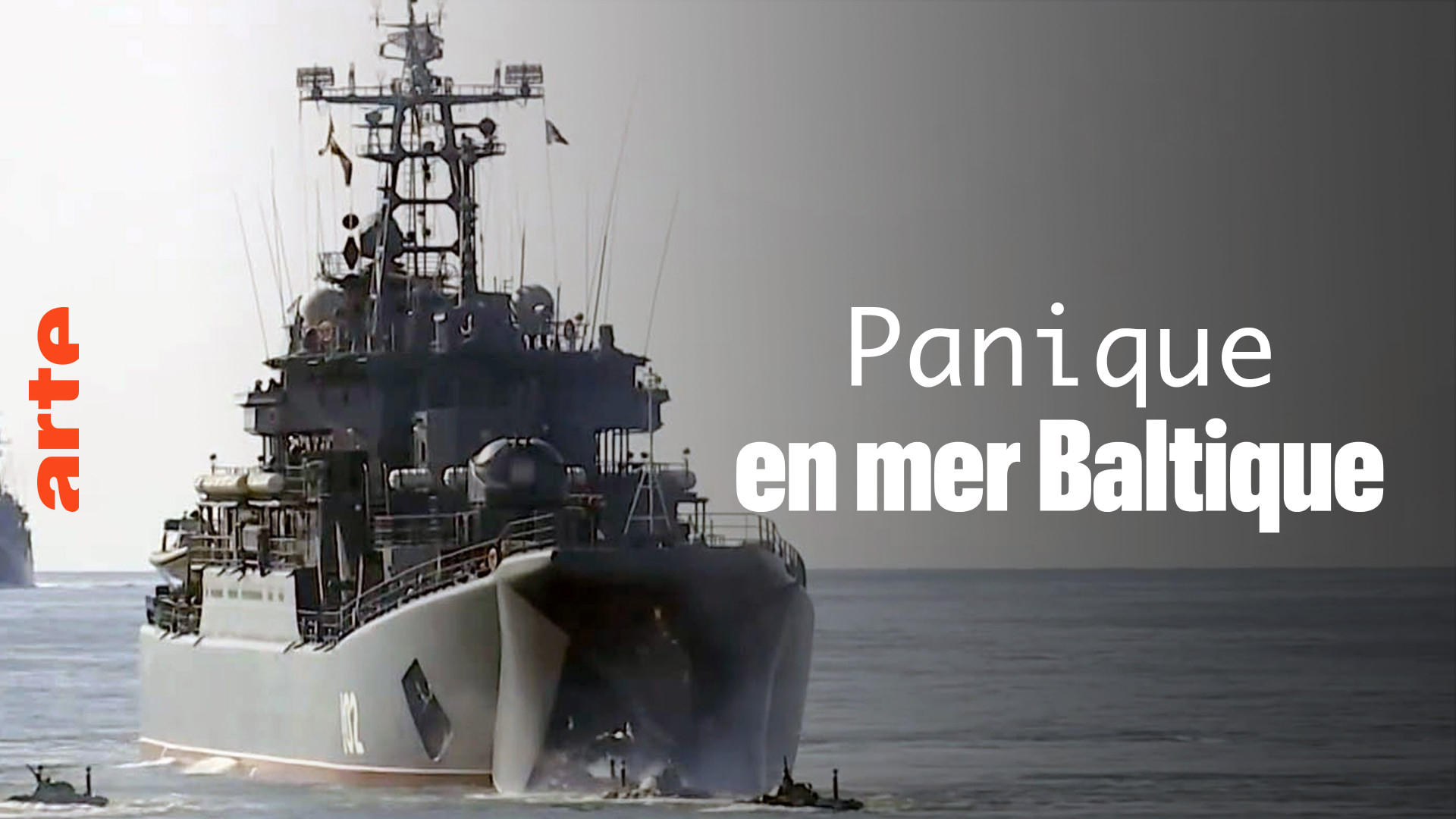 Panik vor Putin  - Russland, das Baltikum und die NATO