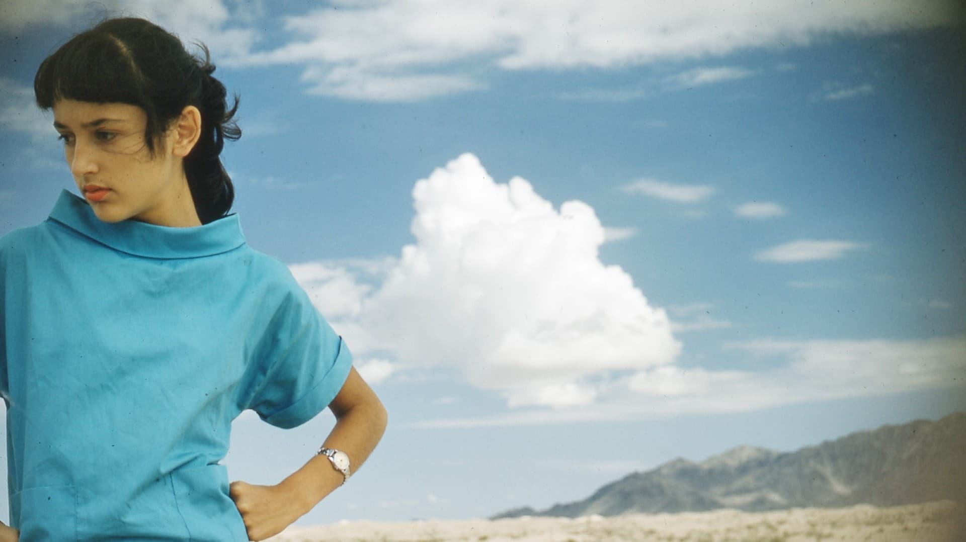 Joan Baez: Mit lauter Stimme