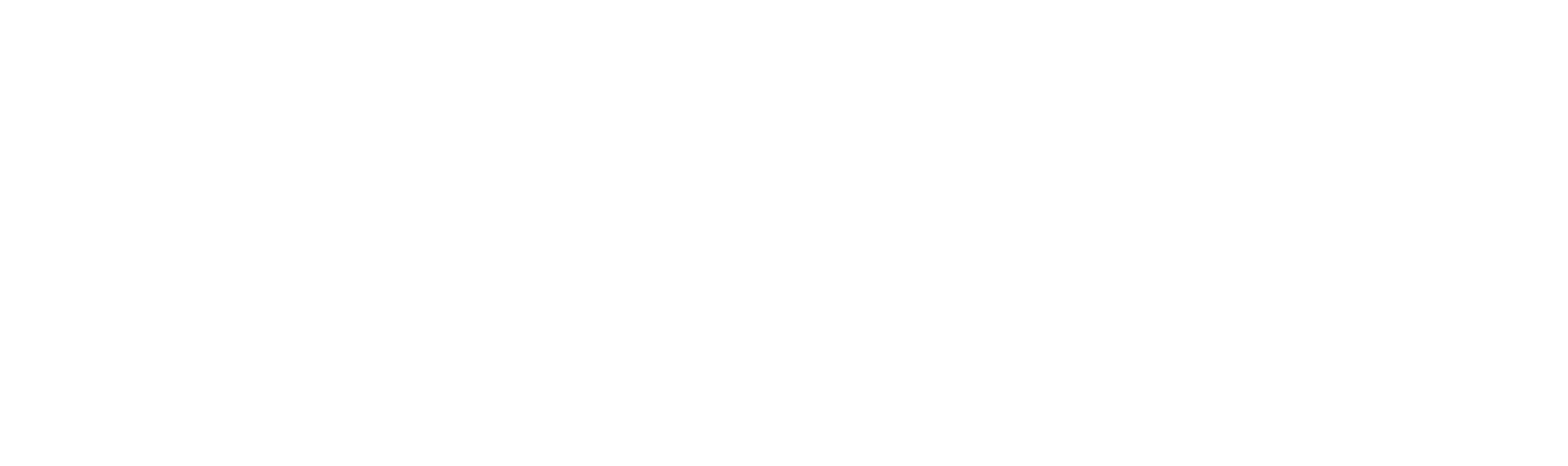 Gorillas hautnah