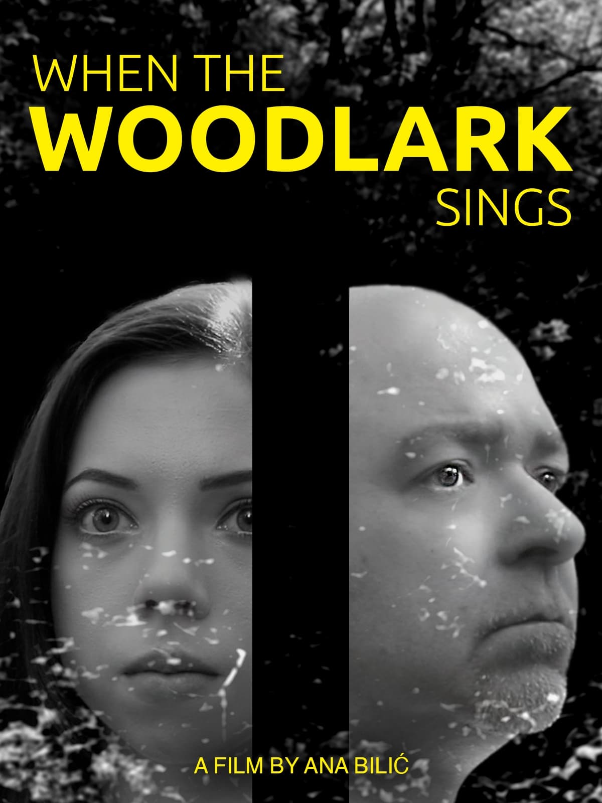 Wenn die Heidelerche singt