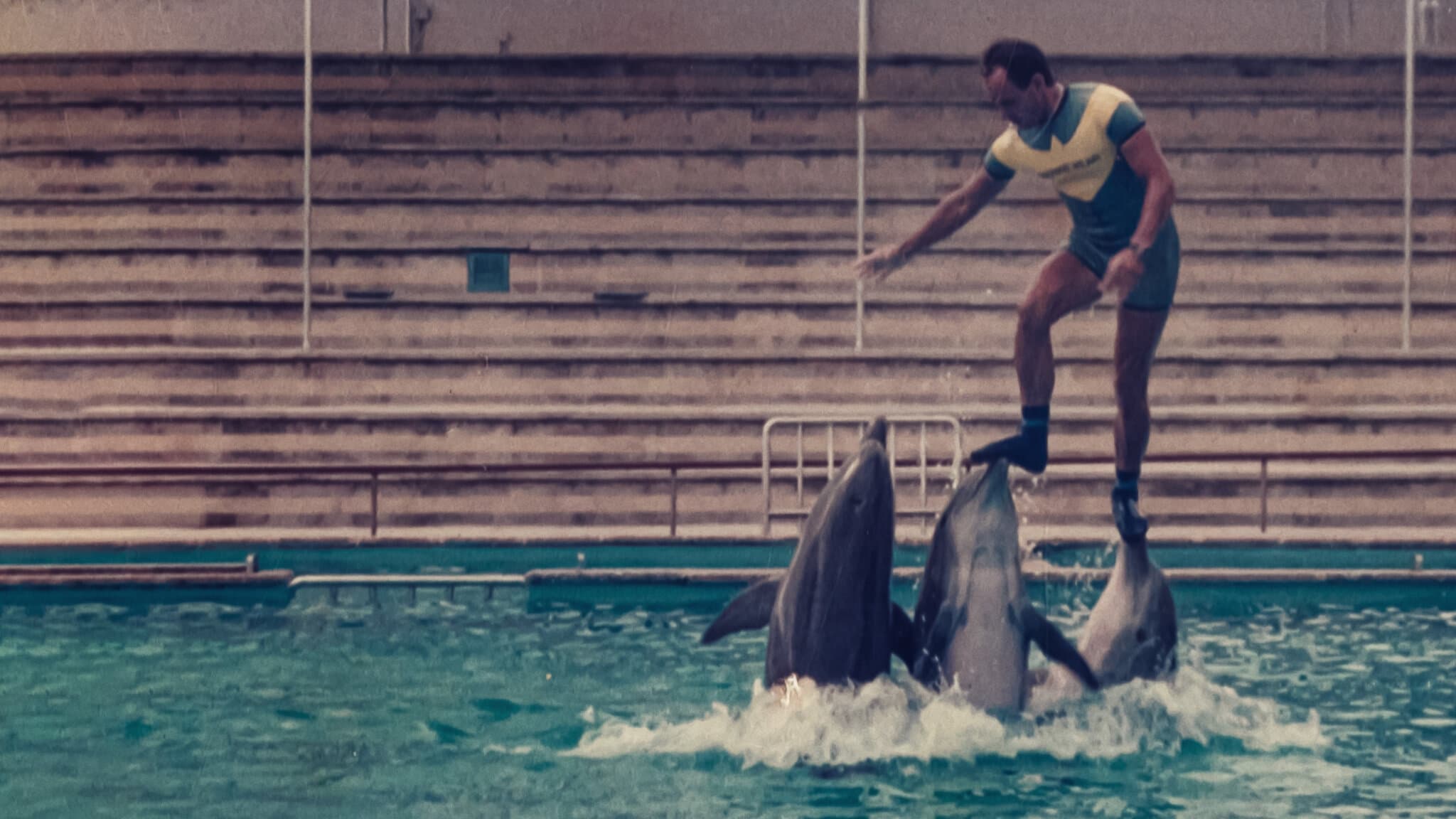 Was geschah mit dem Delphin-König?