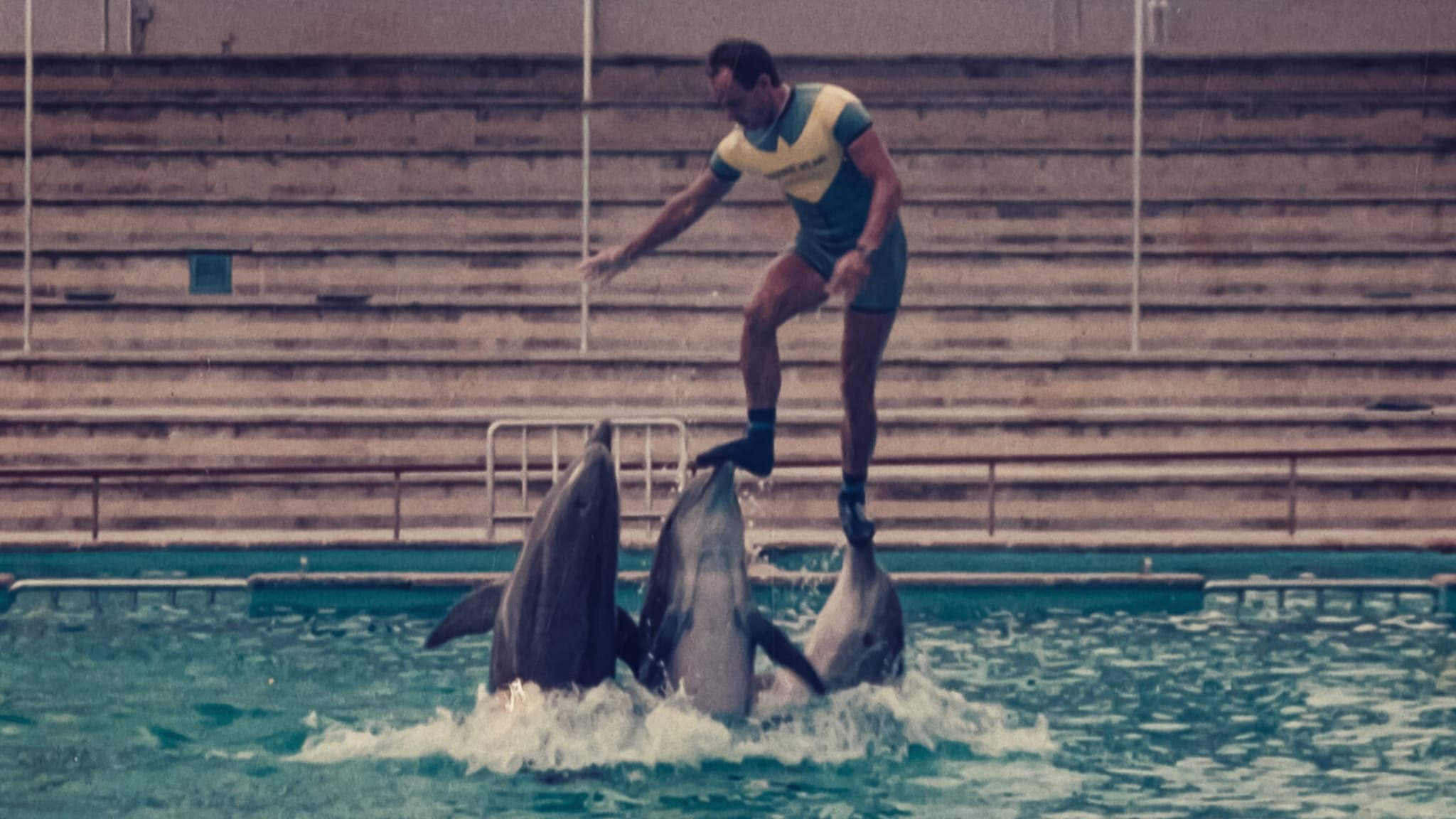 Was geschah mit dem Delphin-König?