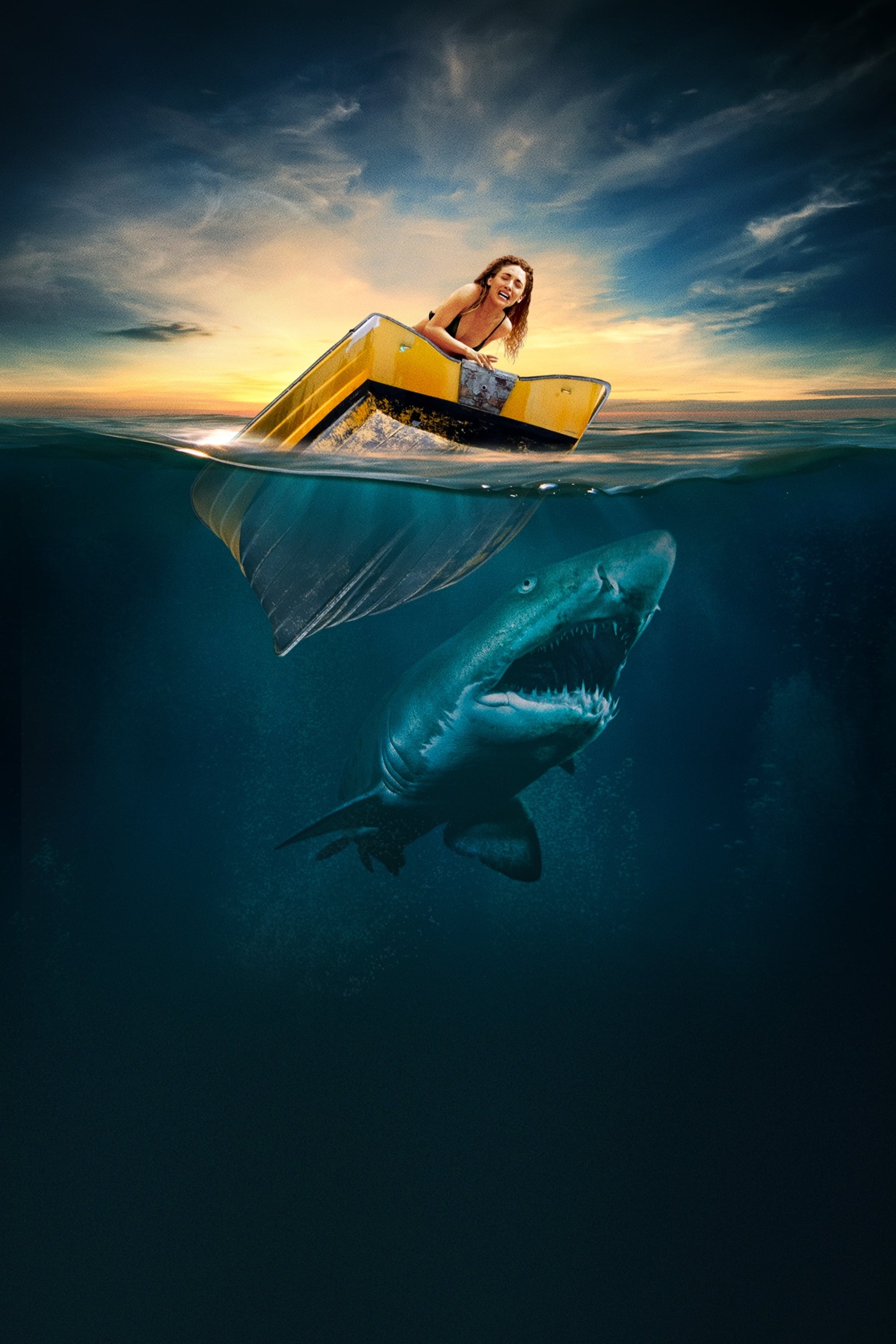 Shark Waters