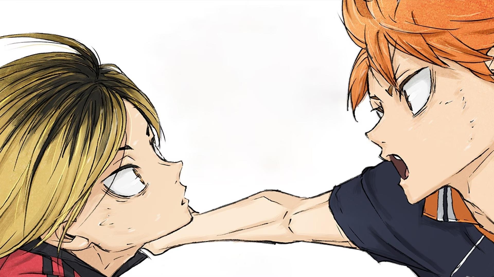 Haikyu!! Das Play-off der Müllhalde