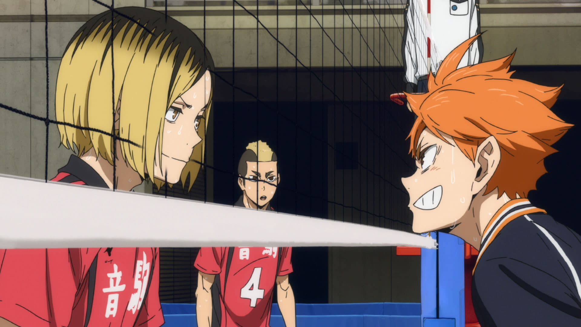 Haikyu!! Das Play-off der Müllhalde