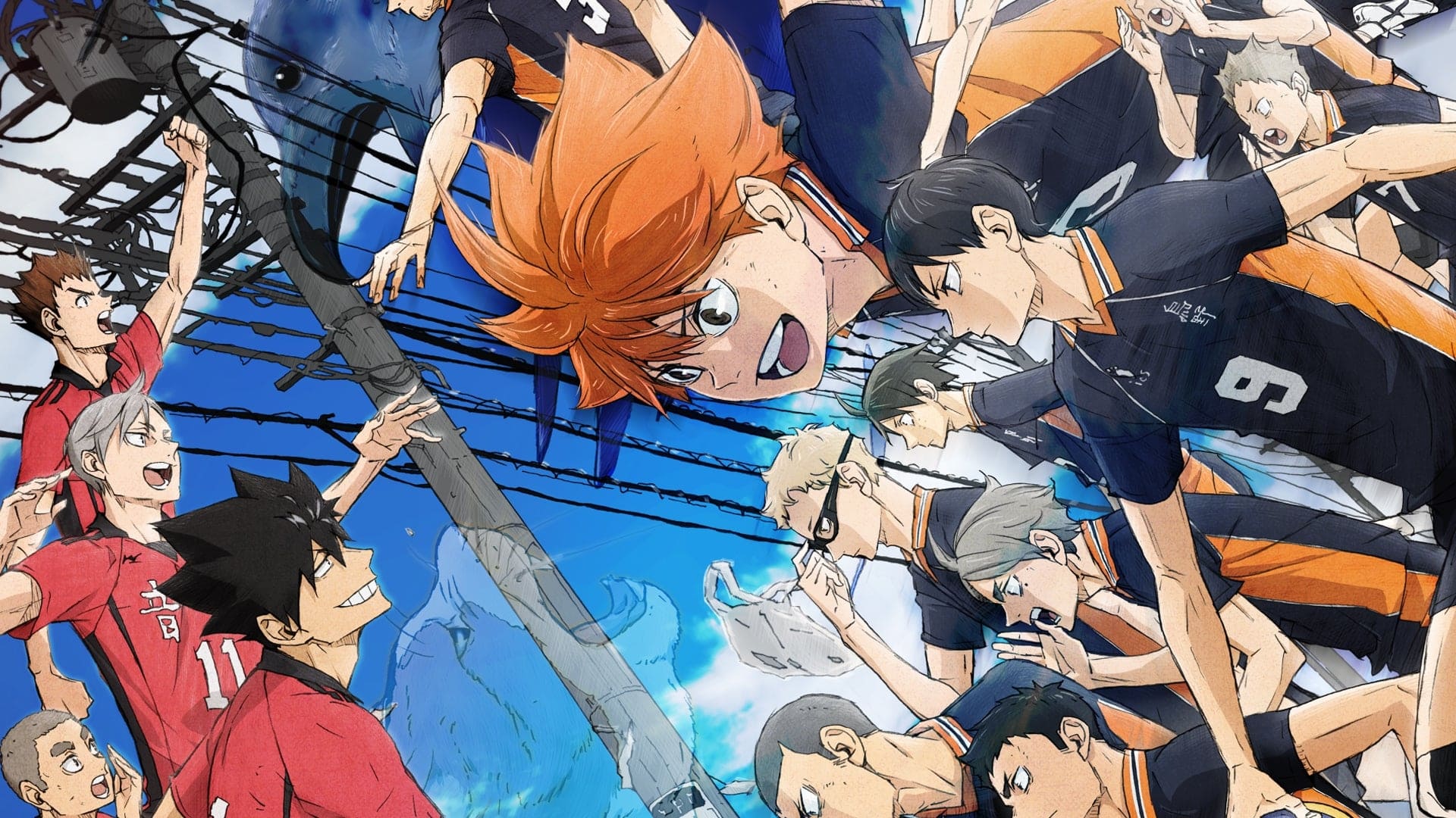 Haikyu!! Das Play-off der Müllhalde