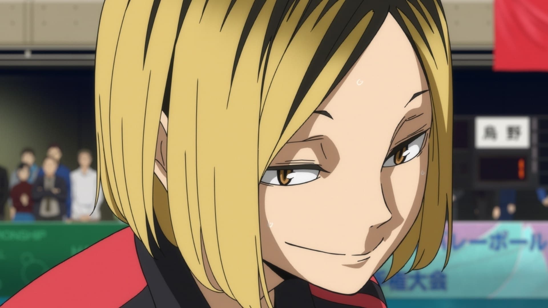 Haikyu!! Das Play-off der Müllhalde