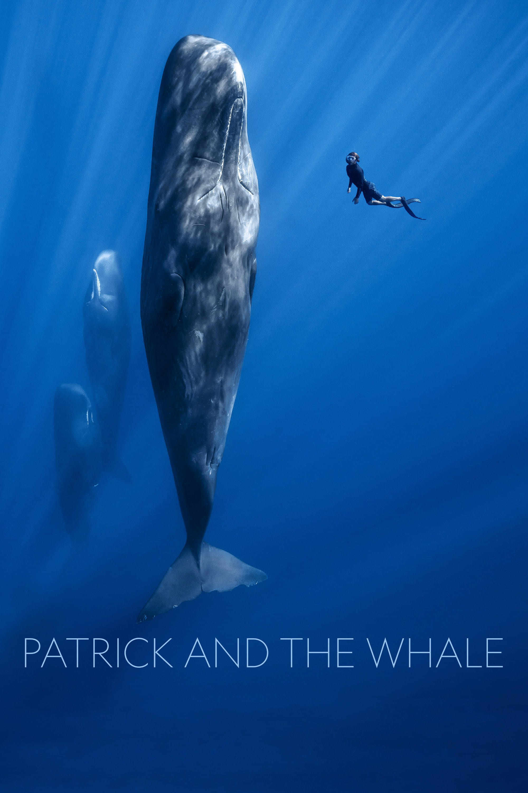 Patrick and the Whale - Eine außergewöhnliche Freundschaft