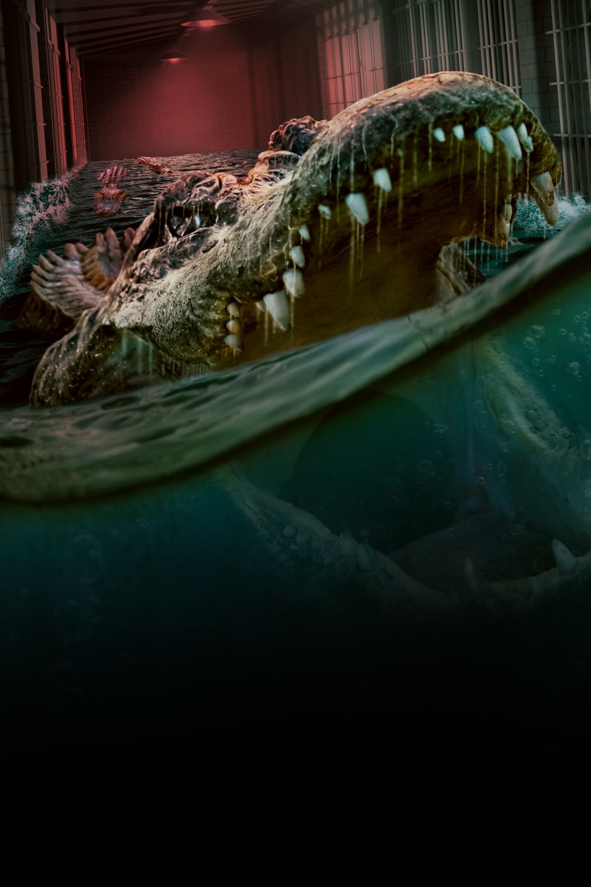 The Flood