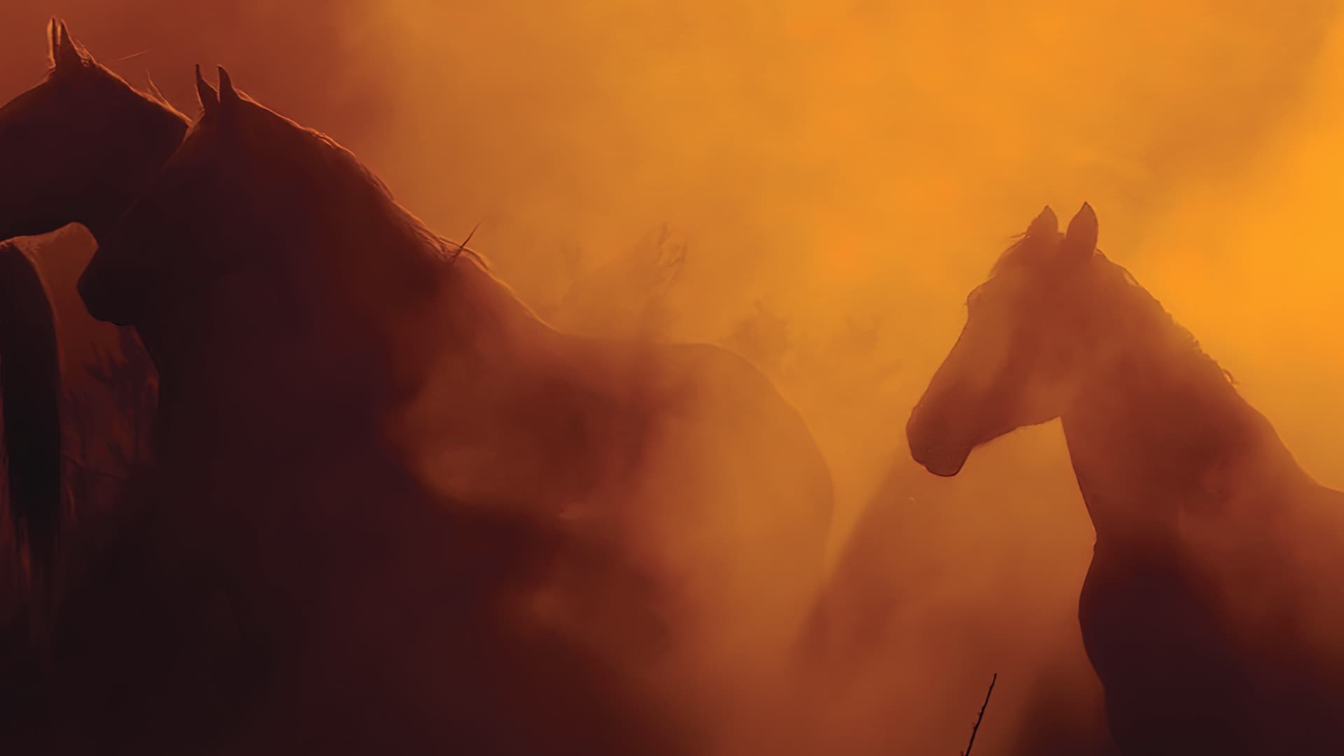 Free Spirit - Mustangs in Gefahr